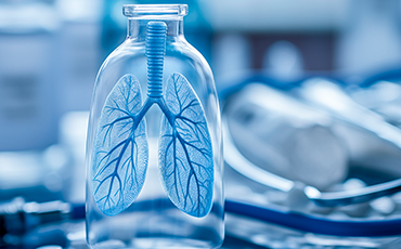 폐·기관지 강화